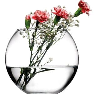 Compra este hermoso Florero de vidrio en forma de Pecera Esfera, solo en Vencort